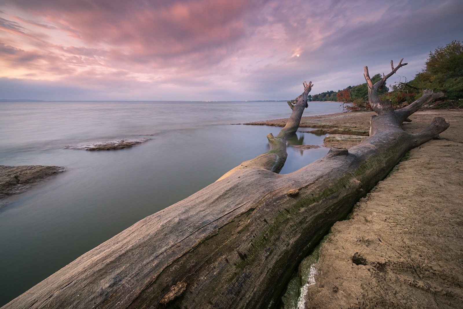 a large log sitting on top of a beach next to a body of water